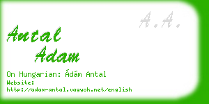 antal adam business card